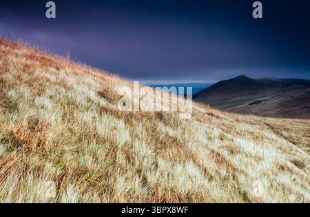Majestic yellow hills glowing by sunlight a day. Dramatic scene and picturesque picture. Location place Carpathian, Ukraine, Europe. Beauty world. Ret Stock Photo