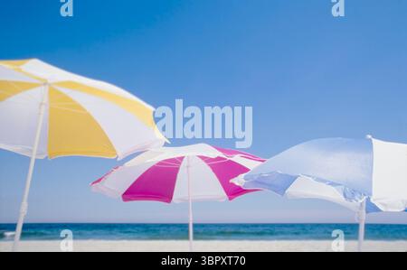 Colorful beach umbrellas against clear sky on beach Stock Photo