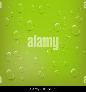 Realistic water drops on vibrant green background. Represents nature, eco freshness, or natural beverages. Perfect for organic product design. Stock Vector