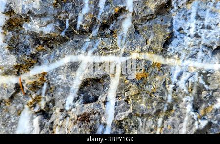 Detailed close-up of a naturally textured stone surface with varying shades of gray, rust brown, and subtle white stripes Stock Photo