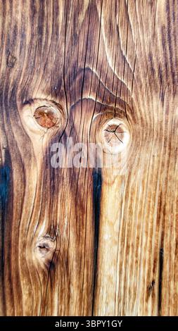 natural wood background with wood structures and wood fibers with beautiful natural colors Stock Photo