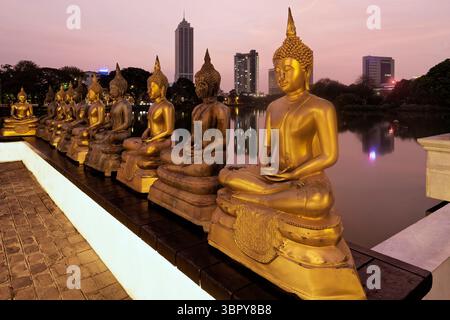 Skyline of Colombo behind Beira lake, Sri Lanka Stock Photo - Alamy