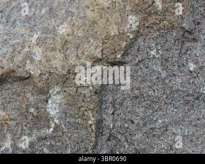 Fine texture of grey-yellow granite boulder in natural setting. Perfect as background. Copy space. Stock Photo