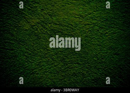 Dark green textured background. Relief texture of a plastered wall Stock Photo