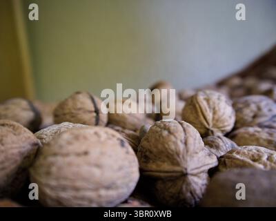 Close-up of whole walnuts in their shell, highlighting natural texture and rich earthy tones. Stock Photo