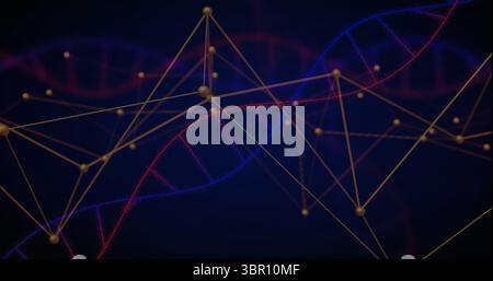 Displaying central blue and red DNA helix weaving in digital space, with golden node network. Biotechnology, molecular, digital art, scientific, innov Stock Photo