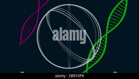 Floating grey wireframe sphere rotating in dark illustration, with magenta and green DNA helices. Futuristic, molecular, technology, abstract, scienti Stock Photo
