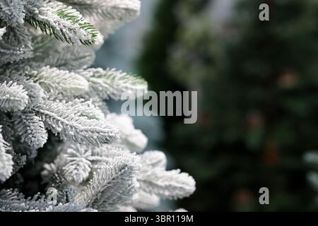 Snowy branches of Christmas tree close up with blurried background and copyspace. Selective focus. Stock Photo