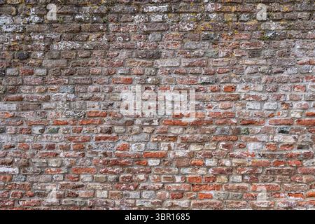 brick wall for background use Stock Photo