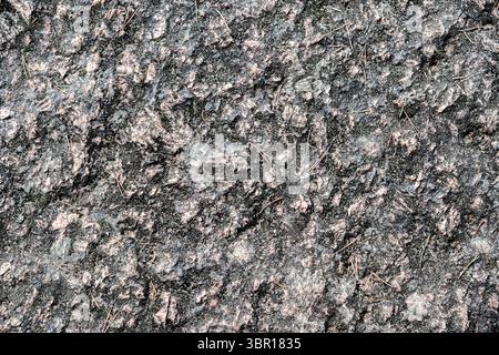 Granite stone surface with roughness and unevenness with old pine needles for use as abstract background and texture. Stock Photo