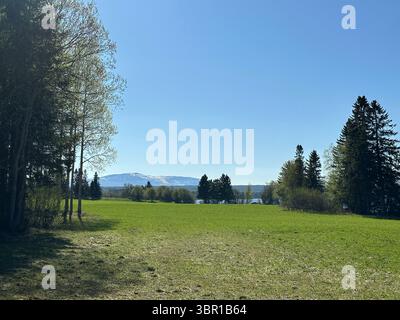 A beautiful view of a grassy field with mountains and trees under a bright blue sky. Stock Photo