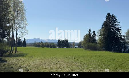 A beautiful view of a grassy field with mountains and trees under a bright blue sky. Stock Photo