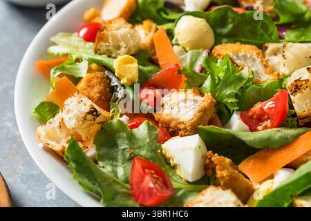 Organic Healthy Italian Salad with Chicken Egg and Tomatoes Stock Photo