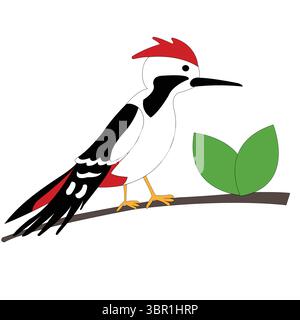 Woodpecker sitting on a twig with leaves on white background Stock Vector