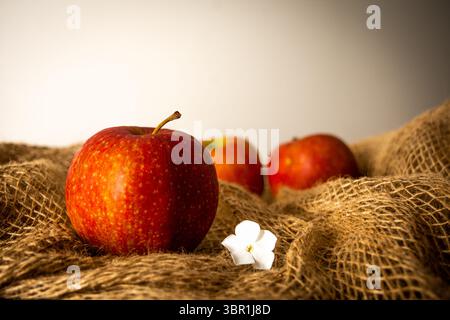 close-up view of three red apples, with one in sharp focus, accompanied by a small white flower, all nestled on a rustic woven fabric background. Stock Photo