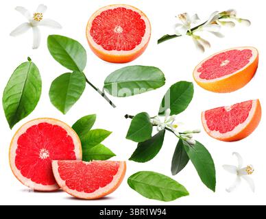 Cut fresh grapefruits, green leaves and flowers on white background, collage Stock Photo