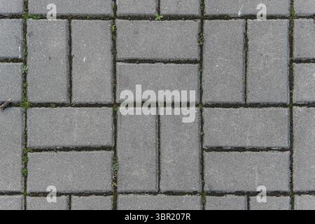 Close-up view of brick-style pavement, with rectangular paving stones arranged in a pattern, suitable as a textured background. Stock Photo
