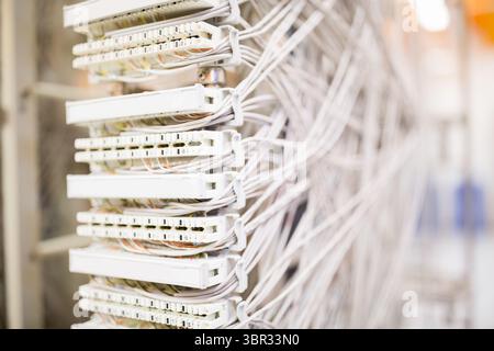 Network patch panel is being shown close-up in 3D render with Ethernet cables under warm light Stock Photo