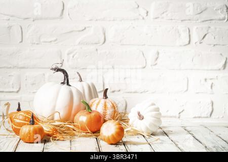 Thanksgiving or Halloween autumn decorations with heirloom mini white and orange pumpkins against a rustic white autumn background Stock Photo