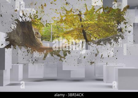 Displaying digital autumn forest splash within white geometric gallery, featuring floating cubes Stock Photo
