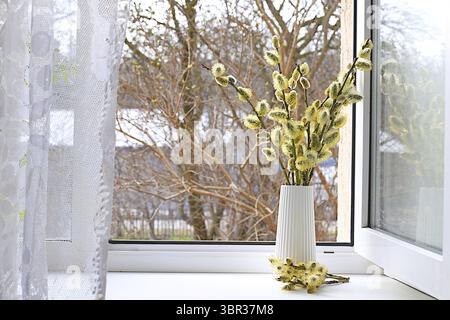 Holiday concept with flowers, spring floral arrangement, still life, banner with delicate willow flowers on a sunny window. Greeting card for Easter, Stock Photo