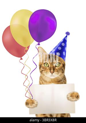 Red cat with colorful balloons and a card. White background. Isolated Stock Photo