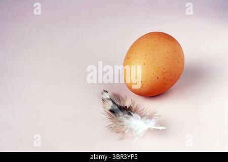 One chicken egg and feather on beige background with copy space Stock Photo
