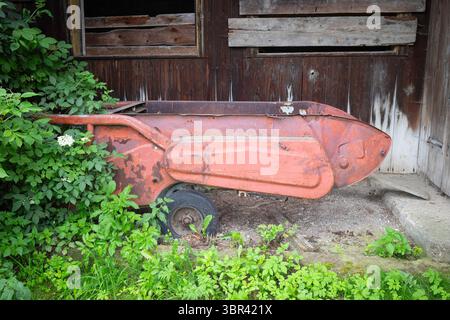 A rusty red wheelbarrow is sitting in a field of green grass. The wheelbarrow is old and rusted, and it is surrounded by weeds. Scene is somewhat mela Stock Photo