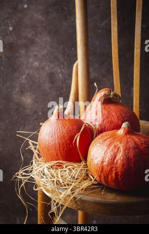 Autumn Background with three Mini Pumpkins on wooden chair on dark background, rustic style Stock Photo