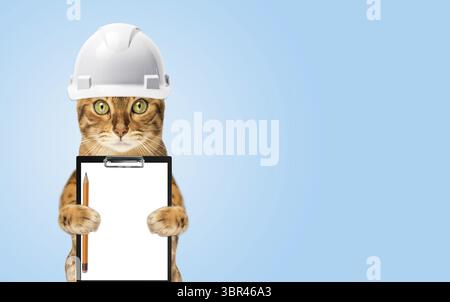 Studio shooting of Bengal cats, white background, portrait Stock Photo