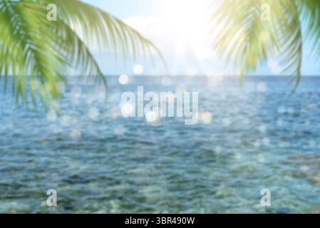 Blur of beautiful nature green palm leaf on tropical beach, abstract background. Copy space concept of summer holidays and business travel Stock Photo