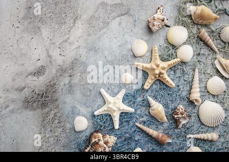 Composition of exotic sea shells and starfish on blue background, top view. Summer sea flat lay Stock Photo