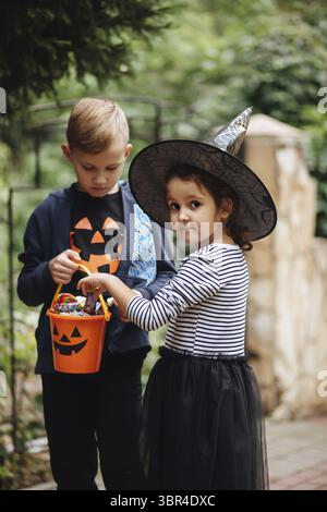 Kleine niedliche Maedchen in Hexenkostuem und Junge haelt Jack-o-Lantern Kuerbis Eimer mit Suessigkeiten und Suessigkeiten und schmeckt Suessigkeiten. Stock Photo