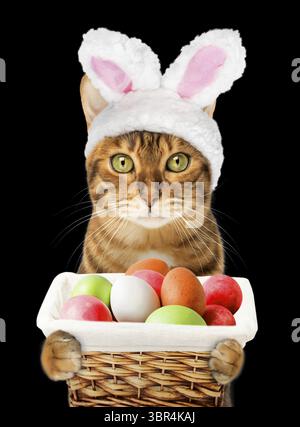 Easter cat with rabbit ears holding a basket with eggs on a black background. Easter concept Stock Photo