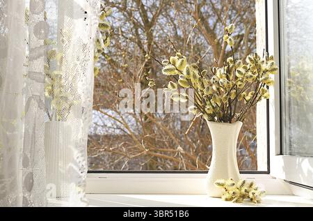Spring floral arrangement, still life, Holiday concept with flowers, banner with delicate willow flowers on a sunny window. Greeting card for Easter, Stock Photo