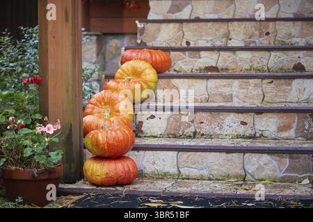 Pumpkins on the steps of the house. Decorations for Halloween celebrations Stock Photo