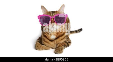 Funny red cat in pink glasses isolated on white background Stock Photo