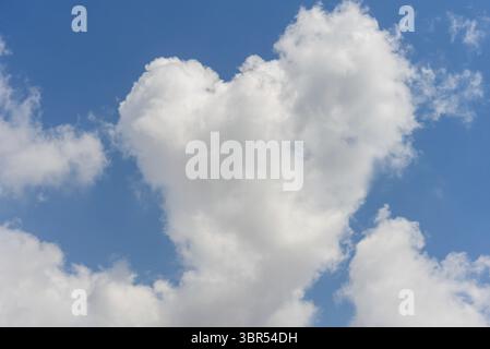 Large white heart shaped cloud on blue sky floating by Stock Photo