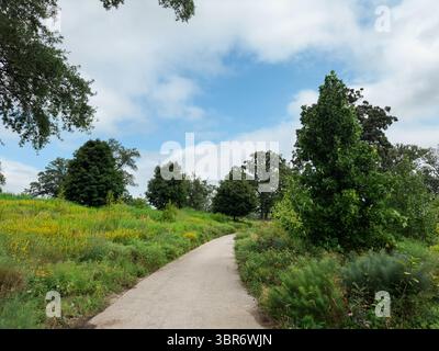 Winding Path Through Summer Meadow and Trees Stock Photo