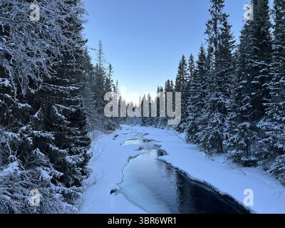 Snowy stream winds through evergreen forest in a serene winter landscape. Stock Photo