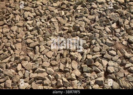 Close-up of small, irregular gravel stones, forming a detailed textured background, ideal for natural or construction themes. Stock Photo