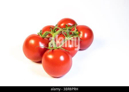 Six fresh vine-ripened tomatoes on a white background, showcasing their vibrant red colour and green stems—perfect for cooking, salads, or healthy eat Stock Photo