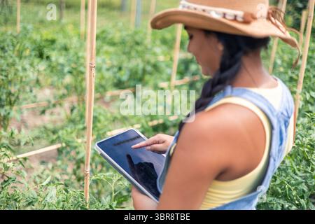 Young latin american female farmer using digital tablet, controlling and checking plants in a greenhouse of organic tomatoes, innovative technology in Stock Photo