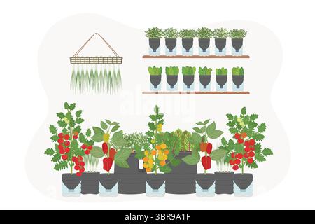 Set of DIY self-watering plastic bottle planters with vegetables and greens at home. Vertical garden, urban farming concept. Hand-drawn vector illustr Stock Vector