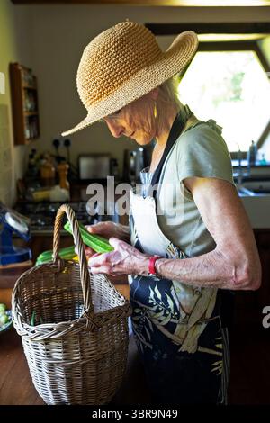 Older woman wearing straw hat apron standing in kitchen holding courgette from garden during July heatwaveWales  2025 UK  KATHY DEWITT Stock Photo
