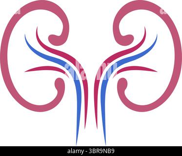Kidney logo icon design illustration Stock Vector