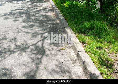 Sunlight filters through leaves, casting intricate shadows along the asphalt path. Stock Photo