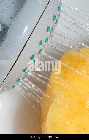 Water cascades from a showerhead onto a bright yellow sponge, creating droplets. Stock Photo