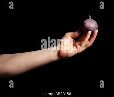 figs in hand on black background Stock Photo