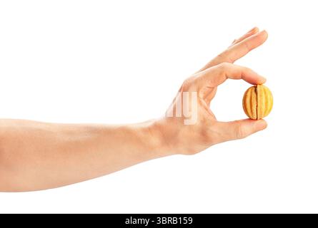 walnut shaped cookies in hand path isolated on white Stock Photo